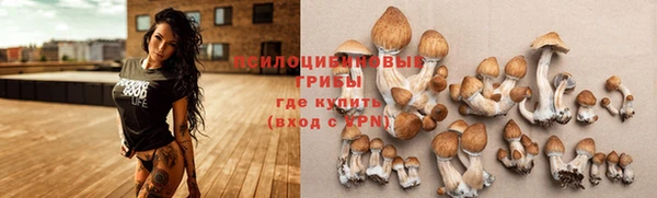 твердый Абдулино